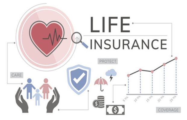 Ultimate Guide To Buy a Term Life Insurance 3 insurance