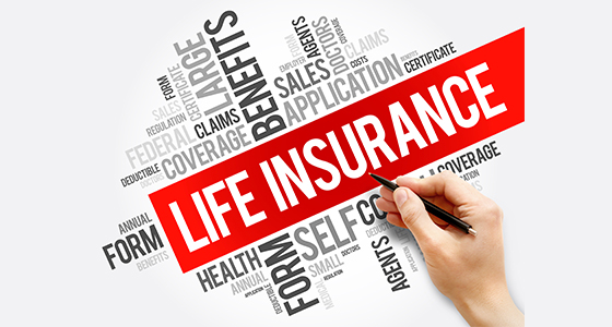 Ultimate Guide To Buy a Term Life Insurance 2 What Is lifeInsurance